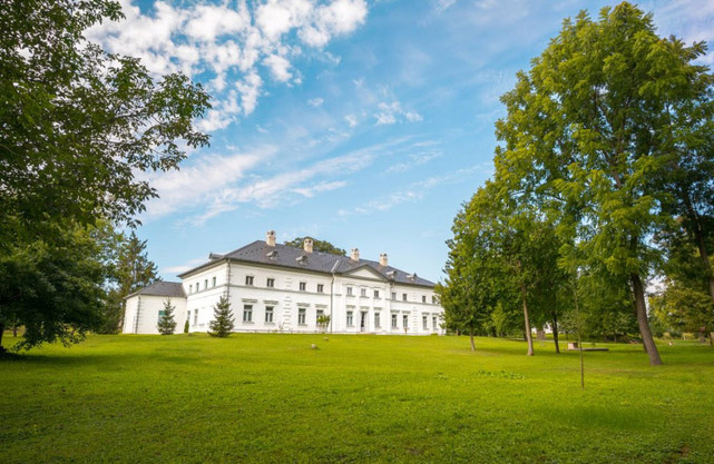 Hungarian Castle